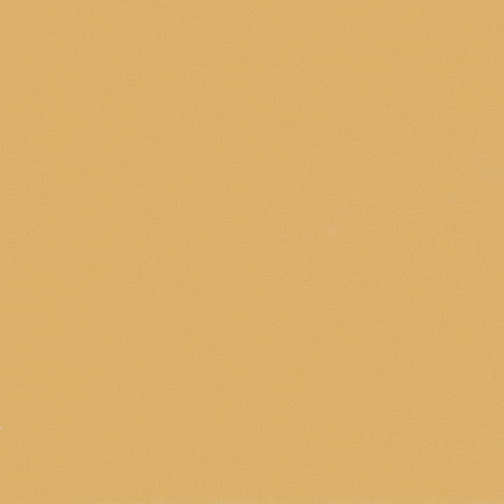 462.jpg