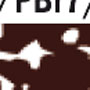 4093.jpg