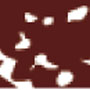4095.jpg