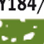 6333.jpg