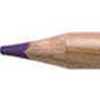 556.jpg