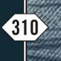 310.jpg